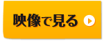 映像で見る