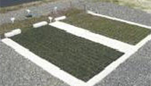 バイオ・緑化事業