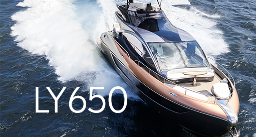 LY650