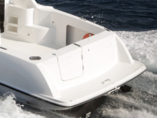 スイミングプラットホーム/ステップラダー