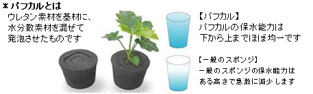 パフカルとは