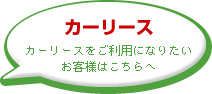 �J�[���[�X