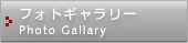 tHgM[