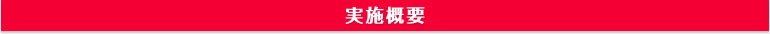実施概要