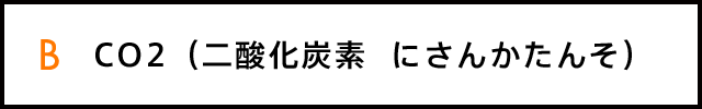 B CO2（二酸化炭素  にさんかたんそ）