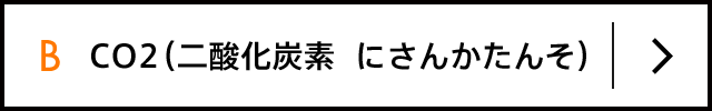 B CO2（二酸化炭素  にさんかたんそ）