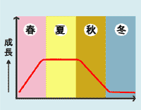図:成長量概念図