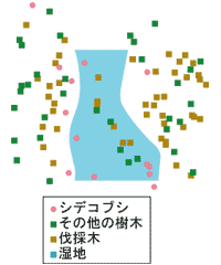 図:立木位置図(1996年)