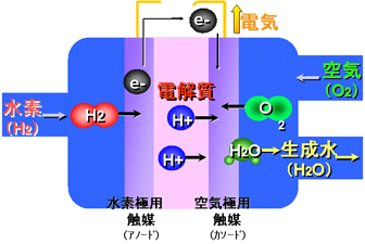 燃料電池