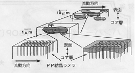 TSOPの高次構造模式図