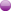 1BOX