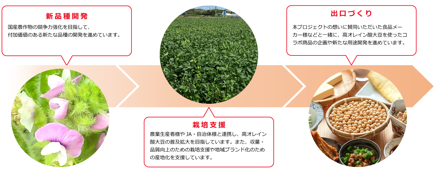国産大豆応援プロジェクトの主な取り組み