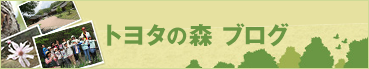 森からのお手紙 トヨタの森ブログ