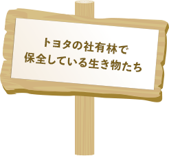 トヨタの社有林で保全している生き物たち