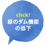 緑のダム機能低下