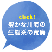 豊かな川海の生態系の荒廃