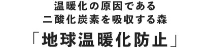 温暖化の原因である二酸化炭素を九州する森「地球温暖化防止」