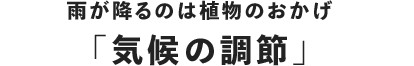 雨が降るのは植物のおかげ「気候の調節」
