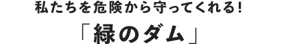 私たちを危険から守ってくれる！「緑のダム」