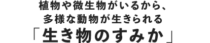 植物や微生物がいるから、多様な動物が生きられる「生き物のすみか」