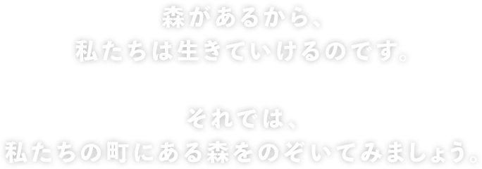 森があるから、私たちは生きていけるのです。それでは、私たちの町にある森をのぞいてみましょう。