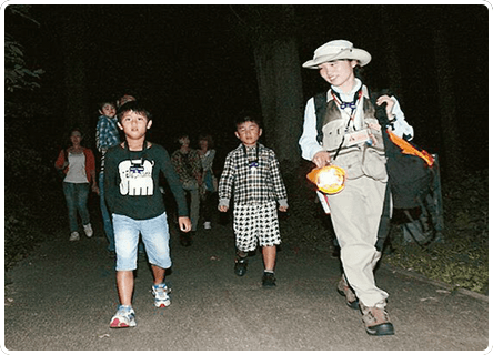 夜の森の散歩