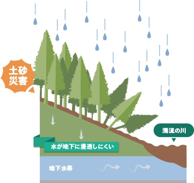 緑のダムが壊れたイメージ図