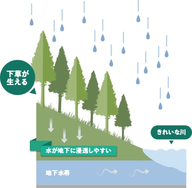 緑のダムが壊れたイメージ図