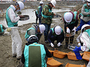 漂流物の仕分け