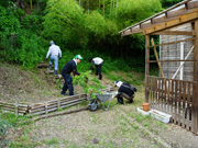 私営ライブラリーでの草取り