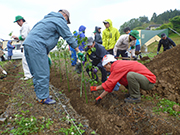 椿の植樹（大船渡市）【6月】