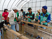 松の植樹のための防風柵づくり（陸前高田市）【9月】