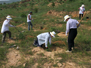 中国での植林作業の様子