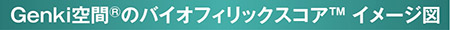 Genki空間 ®のバイオフィリックスコア™ イメージ図