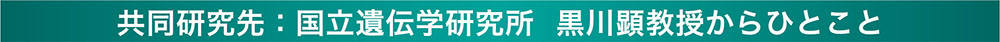 共同研究先：国立遺伝学研究所 黒川顕教授からひとこと