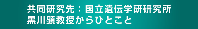 共同研究先：国立遺伝学研究所 黒川顕教授からひとこと