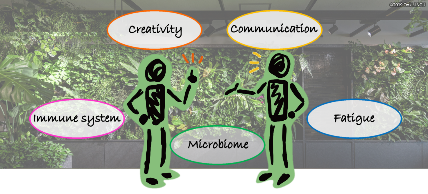 植物共生空間が及ぼす様々な効果(会話、創造力、疲労、免疫、MBなど)