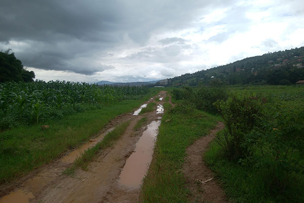 ルワンダ道路状況