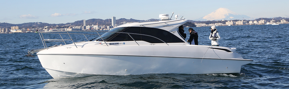 PONAM-28V