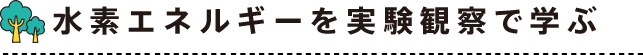 水素エネルギーを実験観察で学ぶ