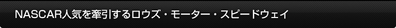 NASCARlC郍EYE[^[EXs[hEFC