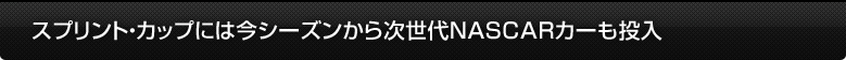 XvgEJbvɂ͍V[Y玟NASCARJ[