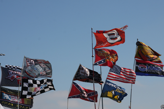 NASCAR̊ɍāAt@͂Ђ̃hCo[̊fĉB