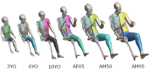 Variations in Age and Physique (Version 4)