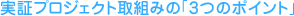 実証プロジェクト取組みの「3つのポイント」