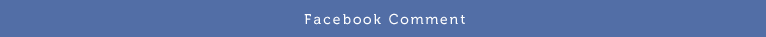Faceboook Comment
