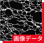 画像データ